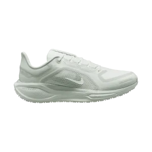 Men's Air Zoom Pegasus 41 GORE-TEX (101 - Summit White/White-Photon Dust-Off White)