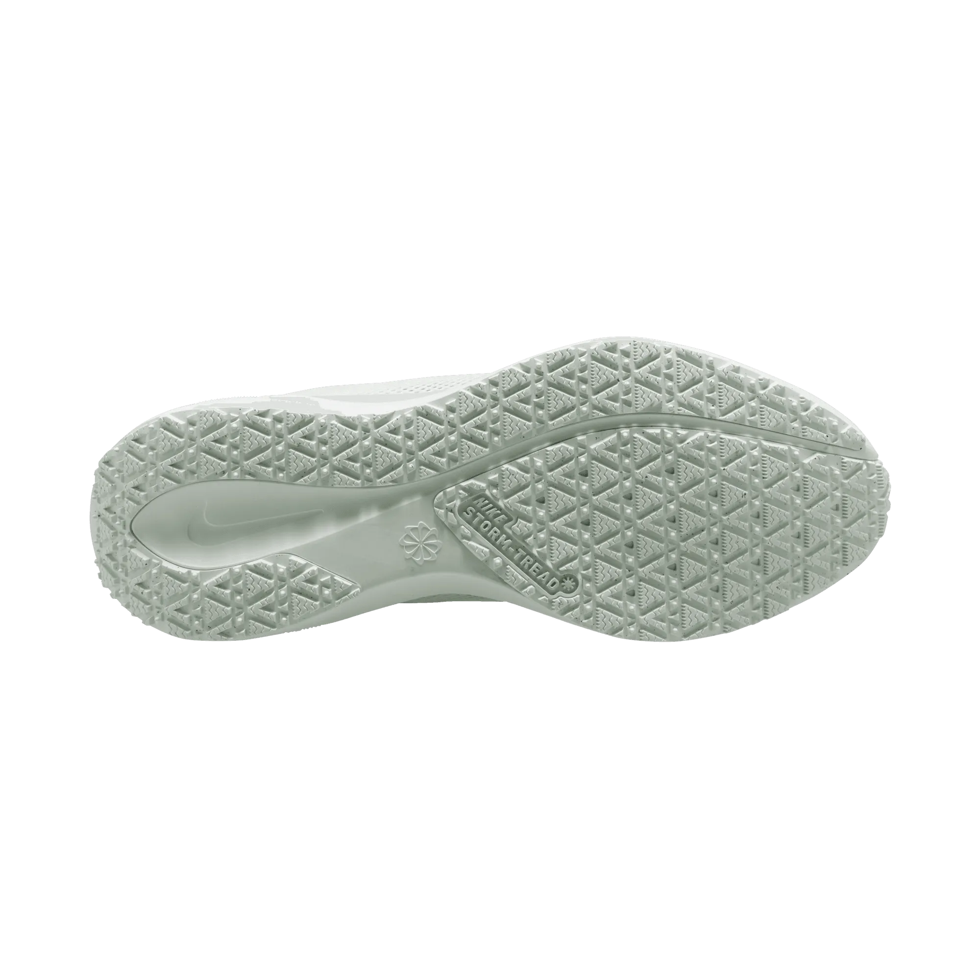 Men's Air Zoom Pegasus 41 GORE-TEX (101 - Summit White/White-Photon Dust-Off White)