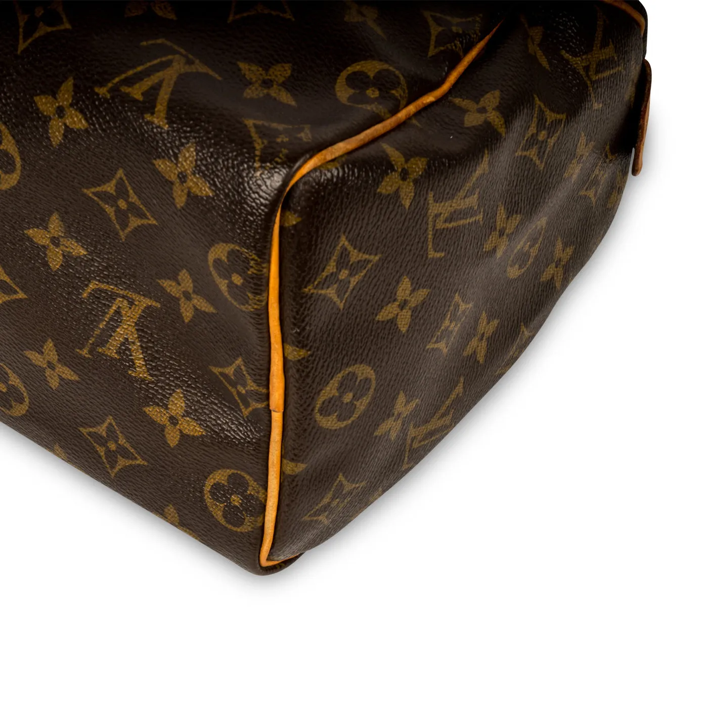 Speedy 25 - Monogram Canvas