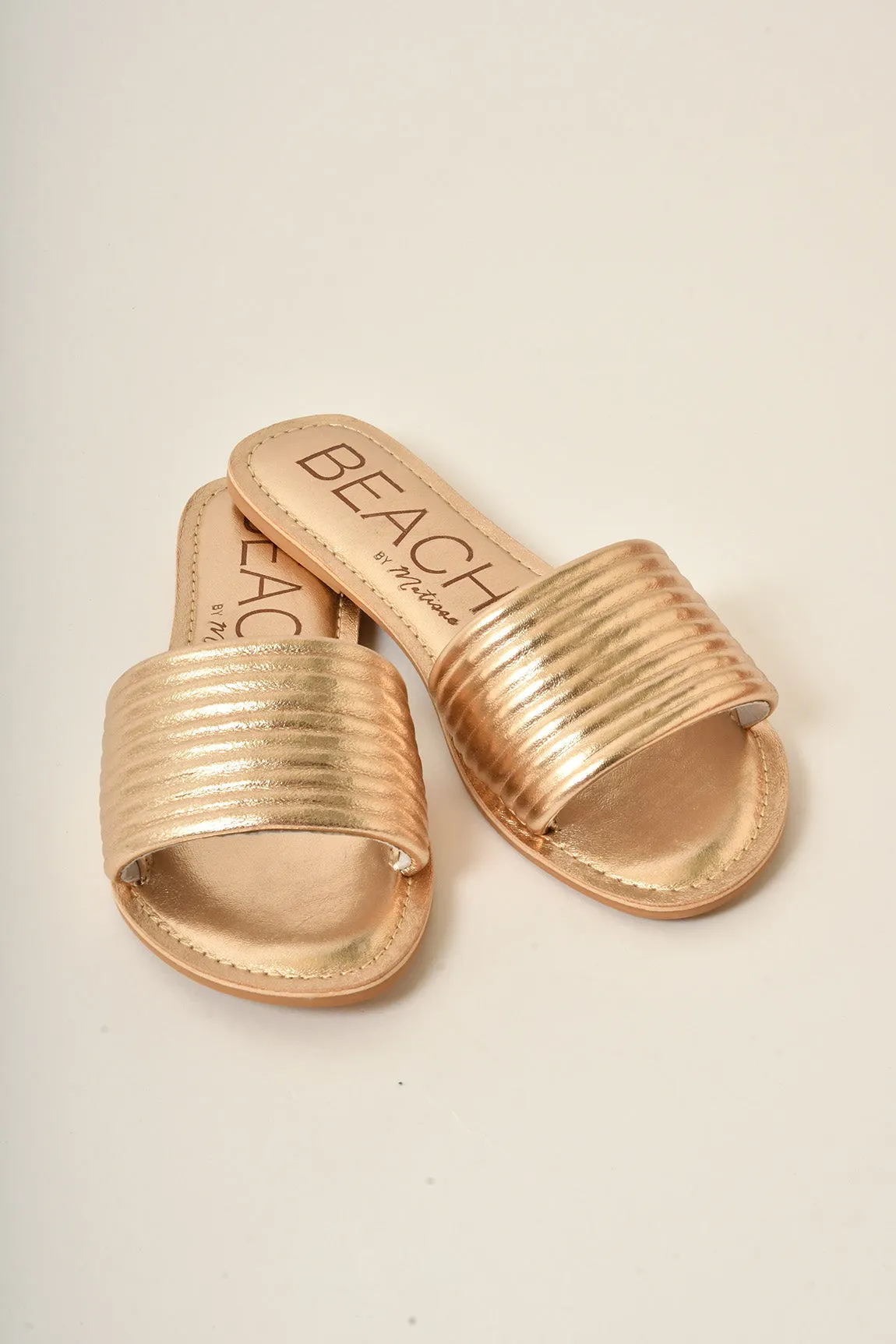 TROLLER SLIDE