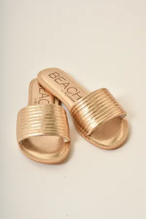 TROLLER SLIDE